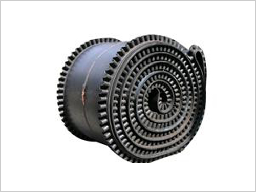 Raised edge conveyor belt loop