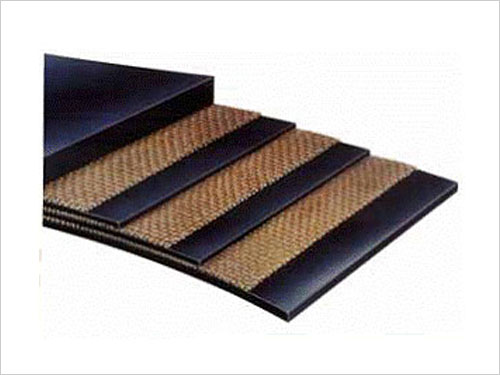 Fabric core conveyor belt