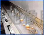 Burning resistant conveyor belt