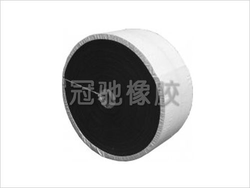 Stripe pattern conveyor belt